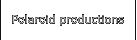 Polaroid productions